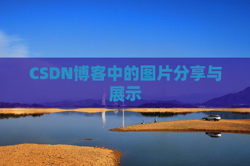 CSDN博客中的图片分享与展示